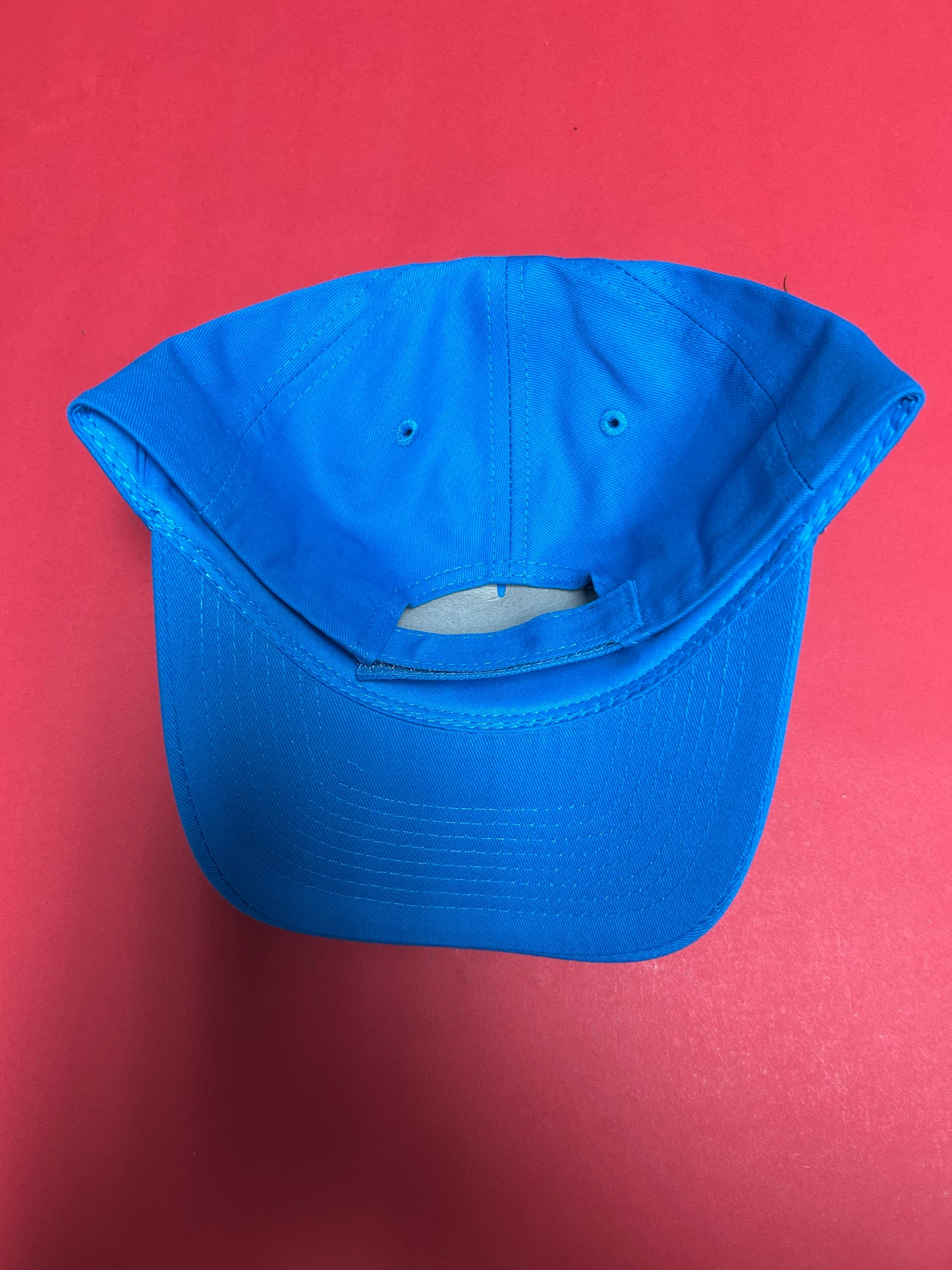 Aquaterra Logo Teal Adjustable Cap
