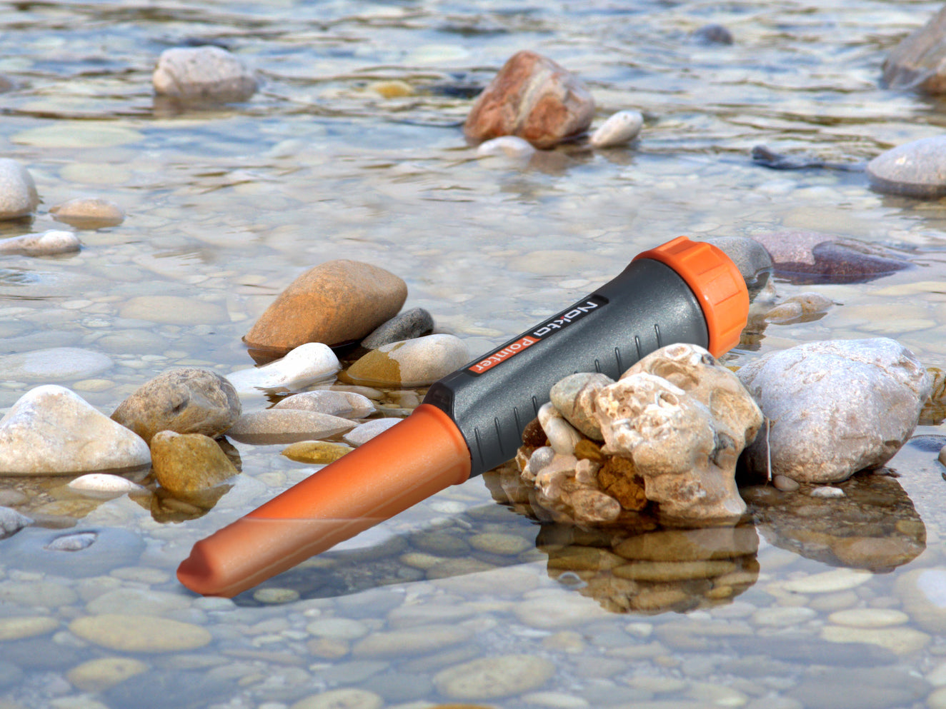 Nokta Pointer