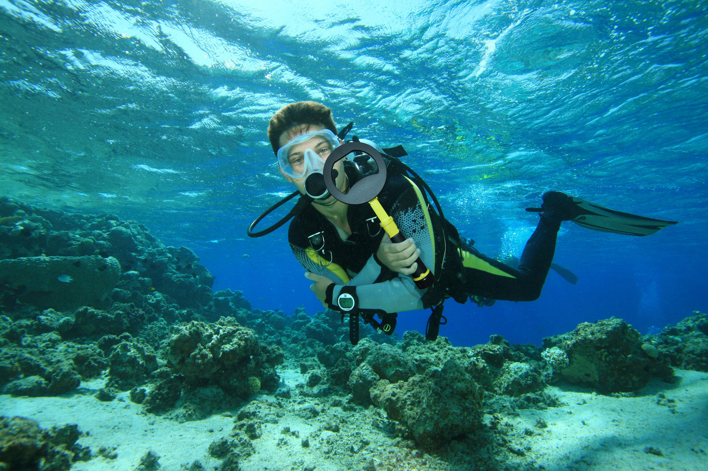 Nokta PULSEDIVE SCUBA DETECTOR & POINTER SET