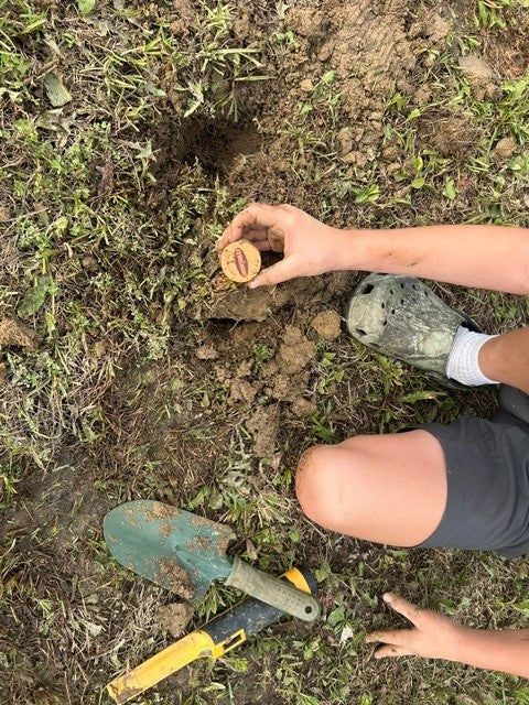 Detecting with the Kids and Having a BLAST!