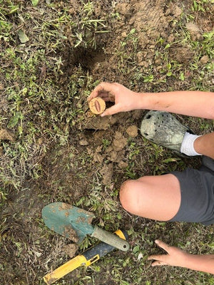 Detecting with the Kids and Having a BLAST!
