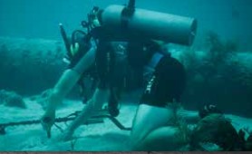 Minelab Pro-Find 35 Pinpointer