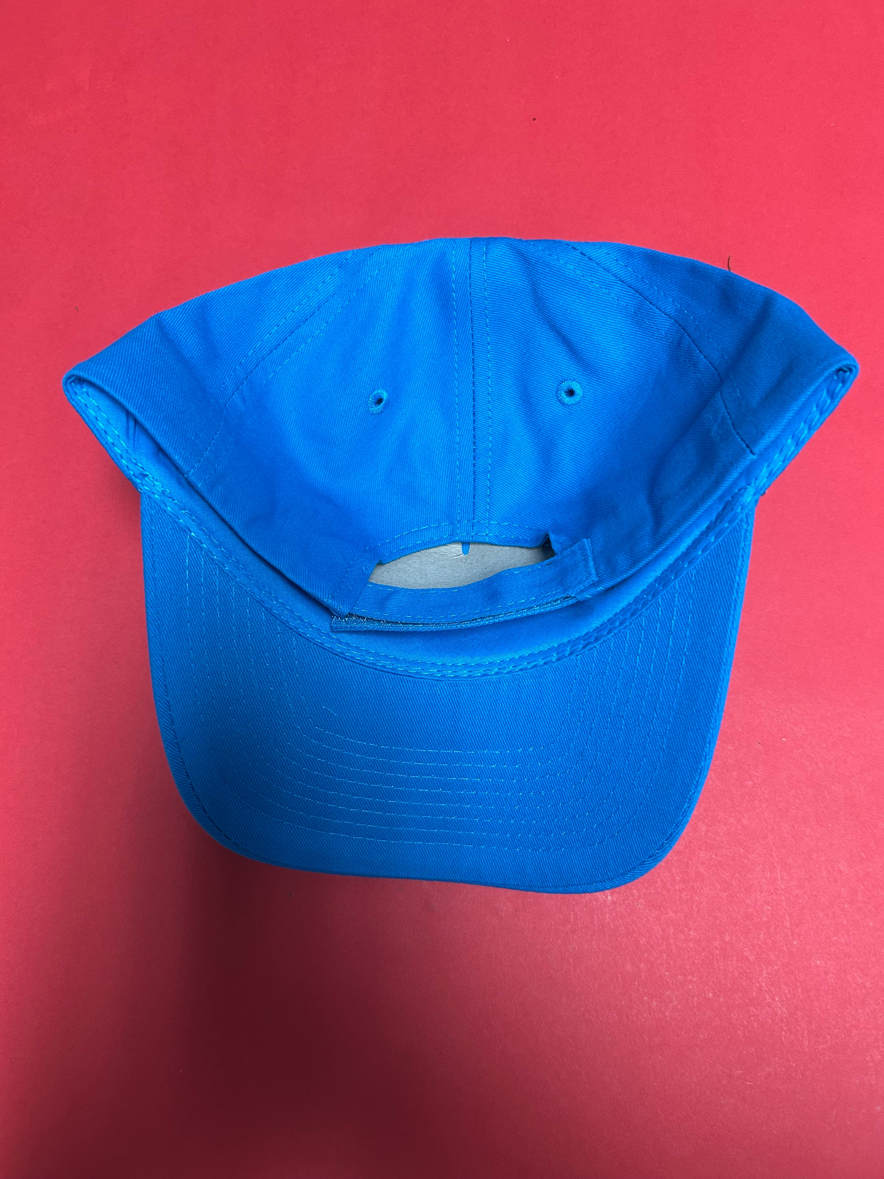 Aquaterra Logo Teal Adjustable Cap
