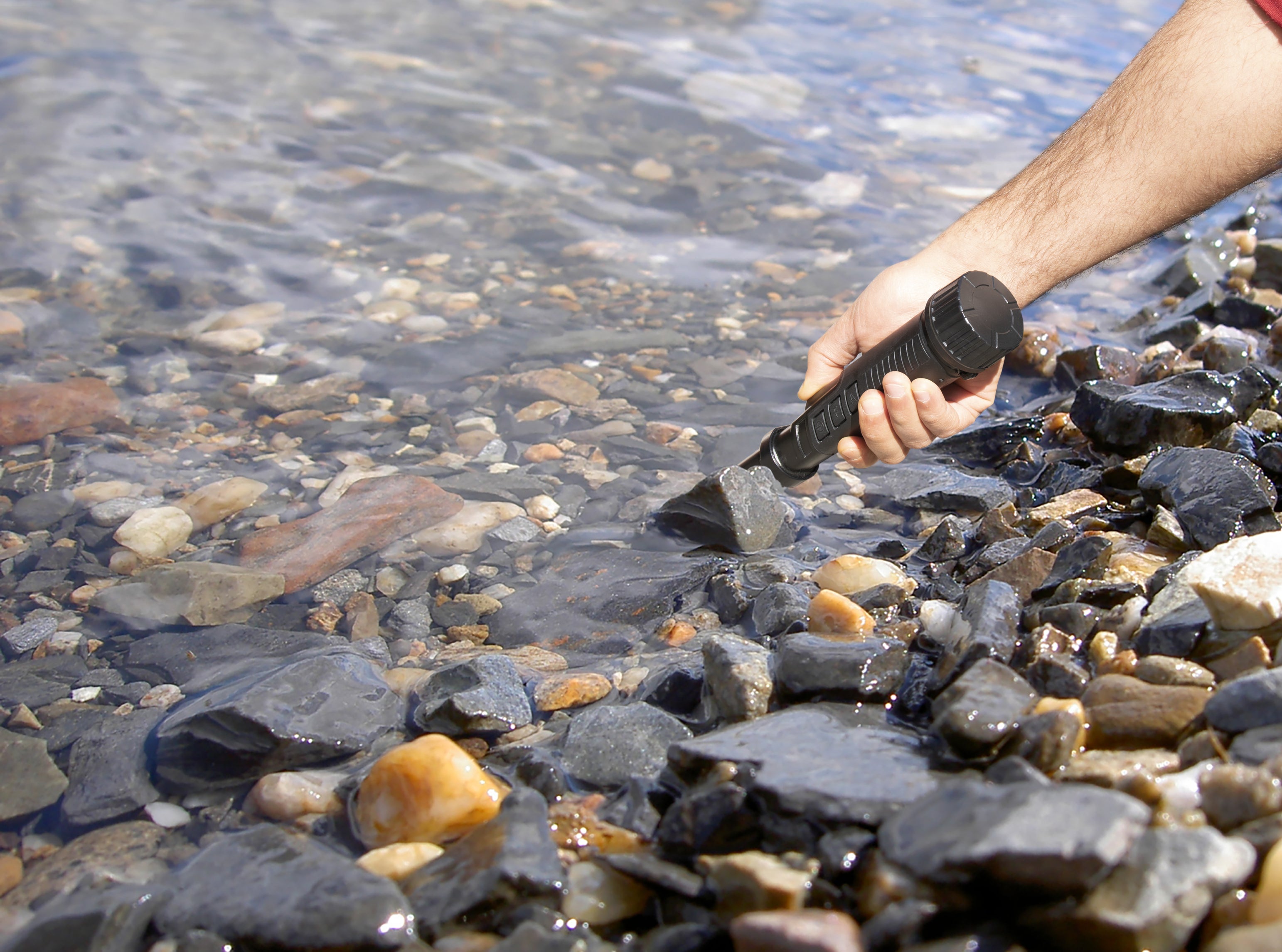 Nokta PULSEDIVE POINTER- New Holiday Price!